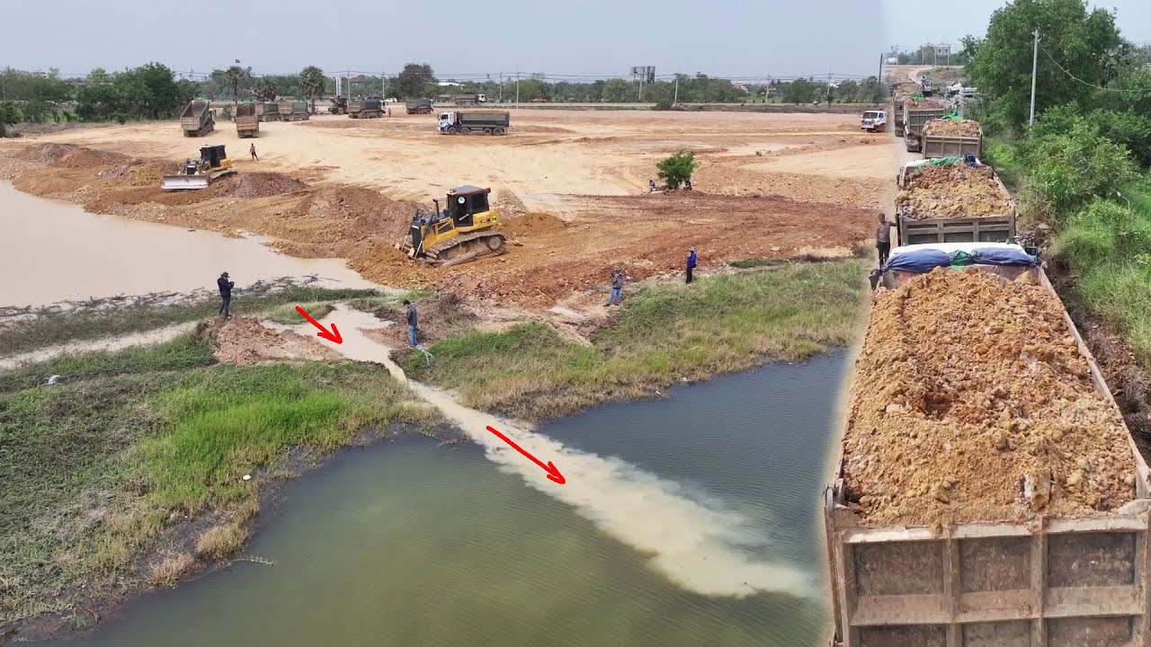 Great Job by Operator: Fast Work Filling a Deep Pond Using SHANTUI Bulldozer and 12-Wheel Trucks
