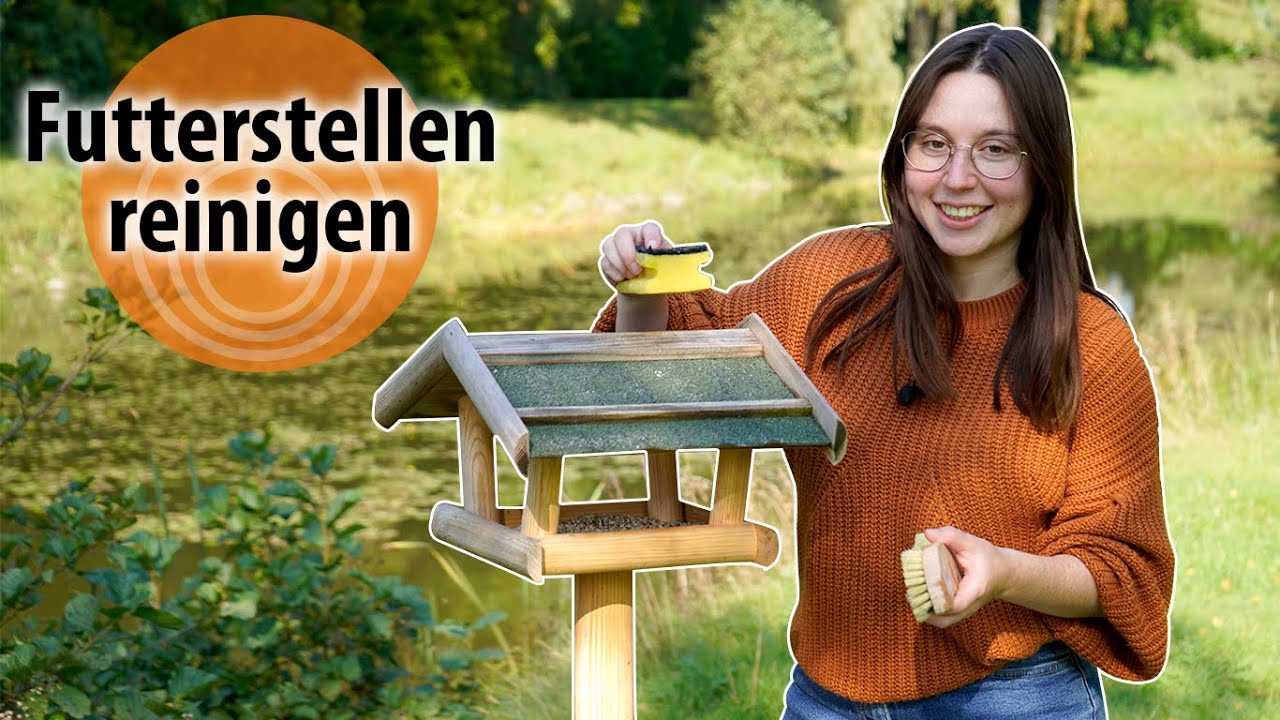 Vogelhaus richtig reinigen - dobarsmart: Wie halte ich meine Futterstellen sauber?