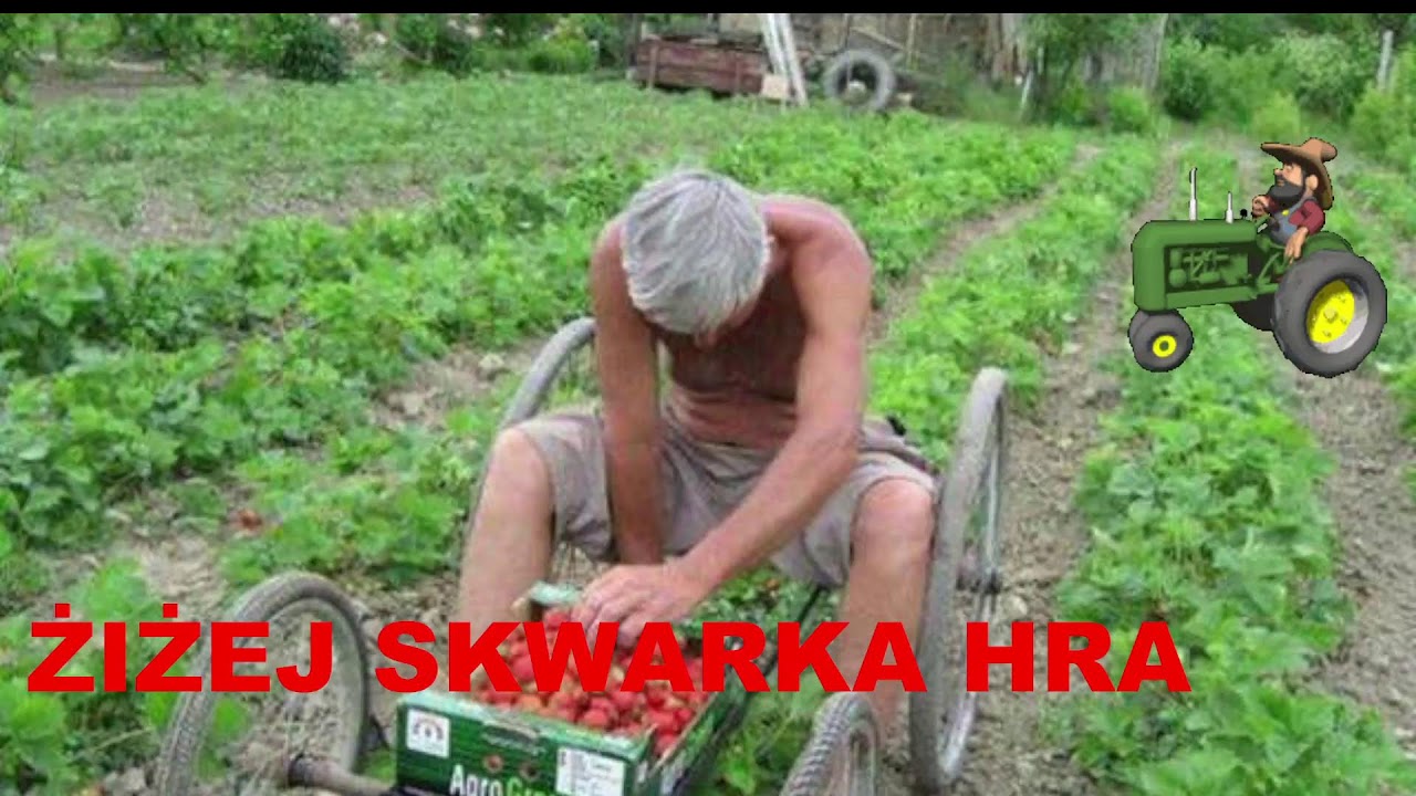 Radio chlew ŻIŻEJ SKWARKA NADAJE