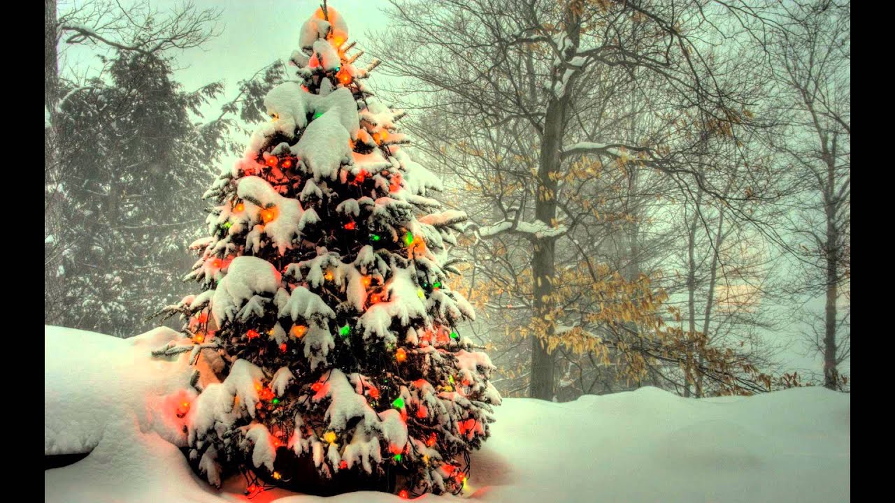 Deck the halls   James Taylor