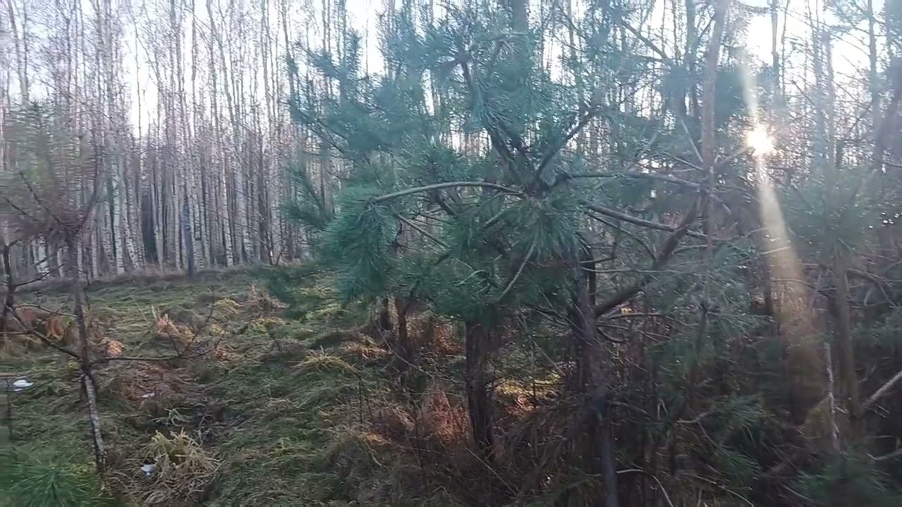 WSPÓLNA WYPRAWA ZA ZRZUTAMI ŁOSIA 🫎🫎#zrzuty #2025