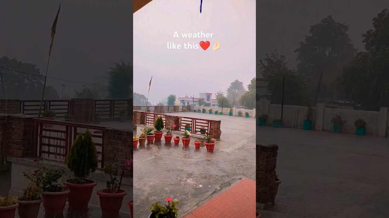 barish ❤️☔🌧️#rain#nature #jammukashmir #rajouri