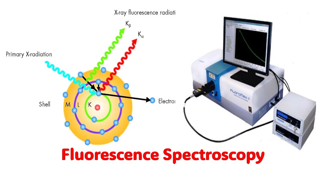Fluorescence Spectroscopy l Explained with Animation