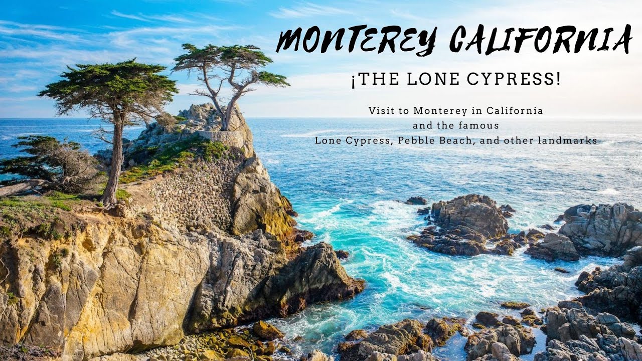Monterey California, USA, Visit to the Lone Cypress