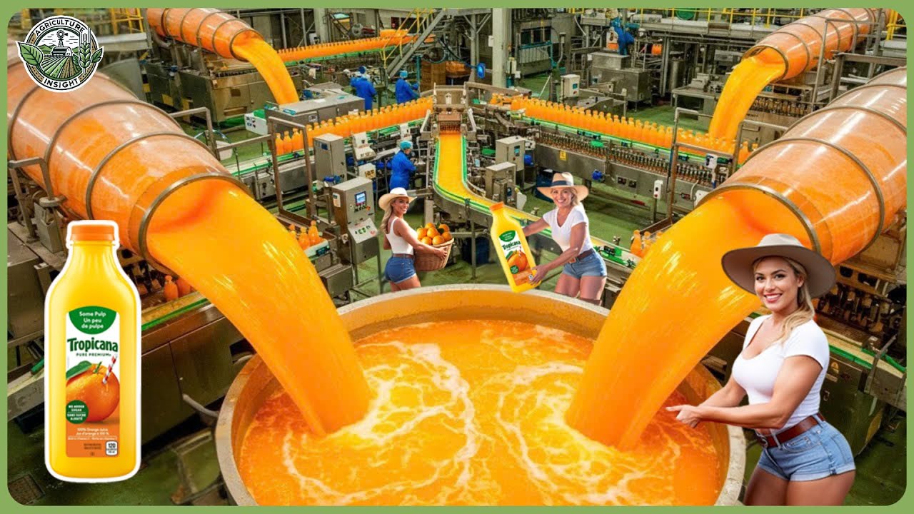 How Billions Orange Juice Bottles Are Produced – Amazing Orange Juice Factory Process
