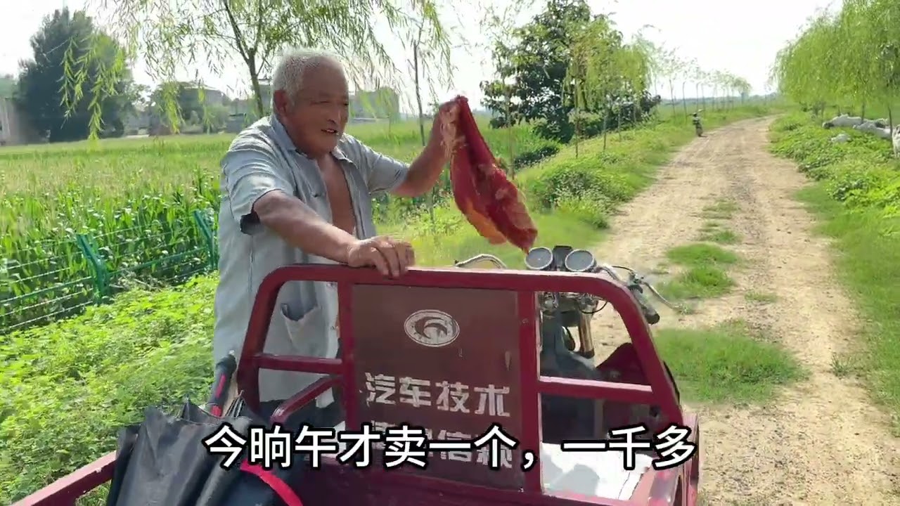 羊整天叫唤，建华带它去找羔，结束了为什么建华还逮着羊骂一顿？#我的乡村生活