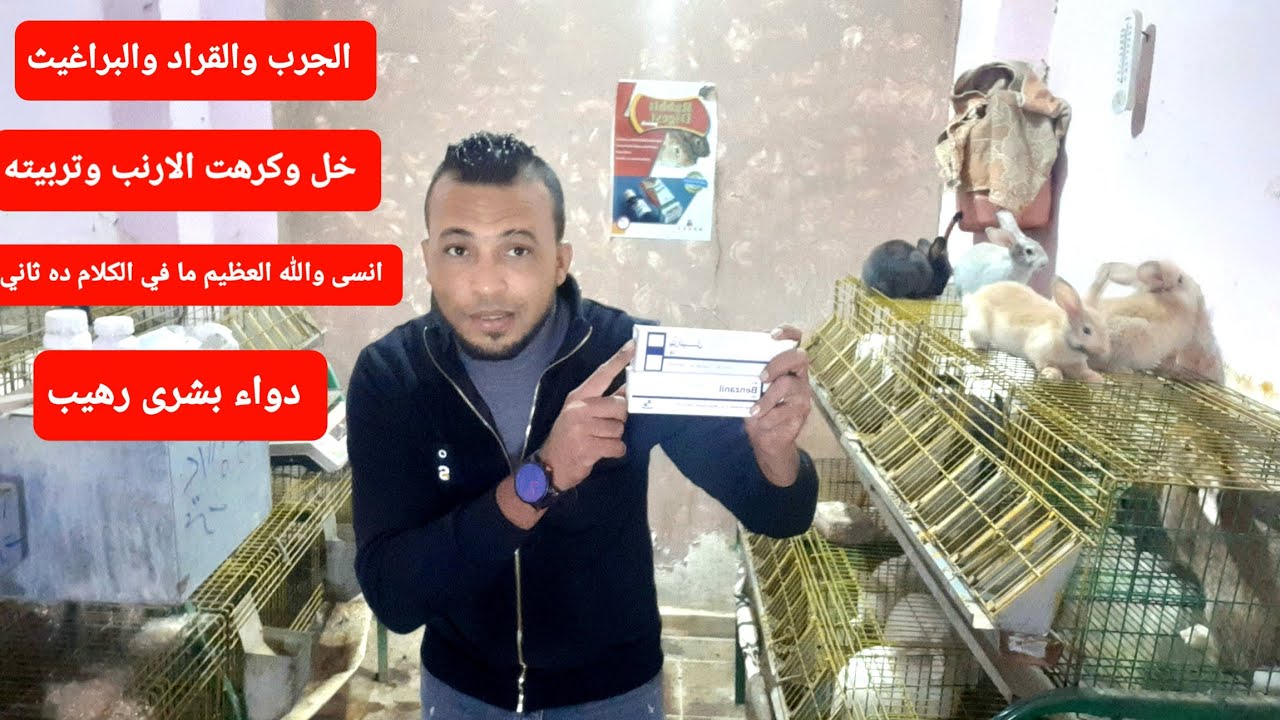 ما فيش(جرب عند الارانب) الثاني ب ثمانيه جنيه بس اول (علاج بشرى) اقسم بالله من الاخر