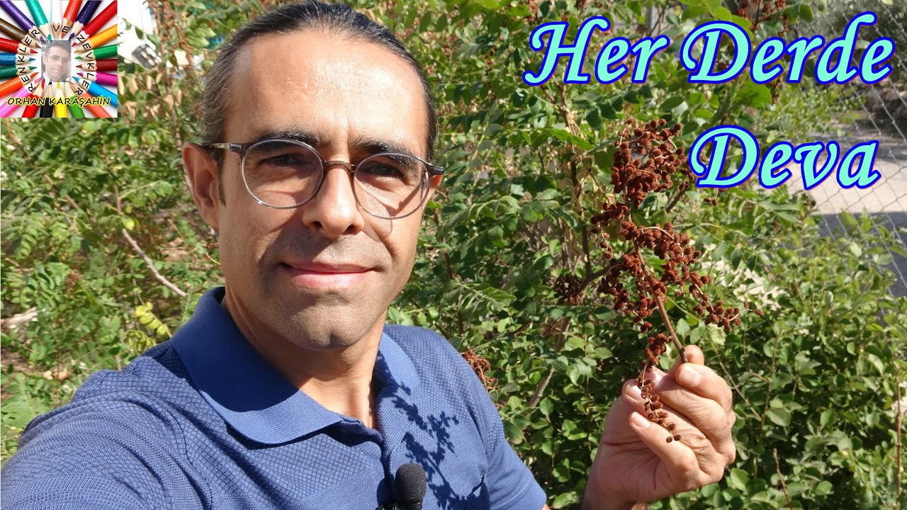 Sumak Tanıtım Videosu I Nasıl Bir Bitkiden Elde Edilir?
