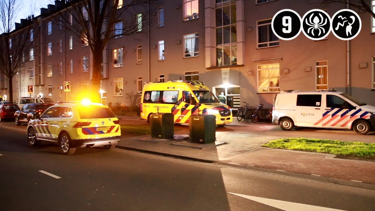 Getuigenoproep: dodelijk steekincident in portiek