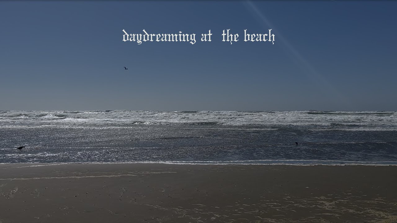 reading your favorite book at the beach 🌊🐚 [classical music playlist] for studying, relaxing