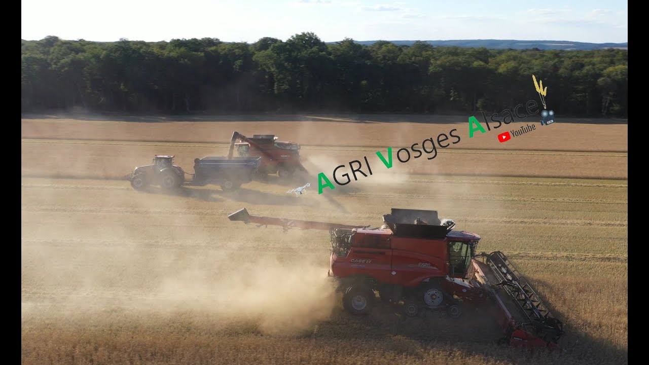 Moisson XXL🌾🌾100% CASE IH: x2 AXIAL FLOW 9250💪🤠