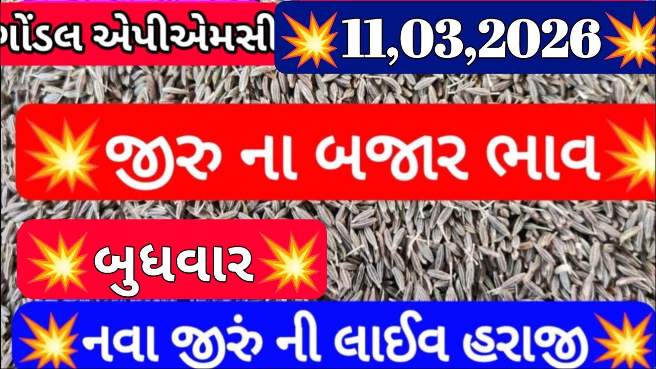 આજના જીરાના બજાર ભાવ / ગોંડલ જીરાના બજાર ભાવ / જીરૂ ના બજાર ભાવ / 11,03,2026