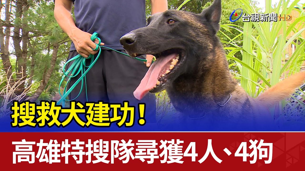 搜救犬建功！ 高雄特搜隊尋獲4人、4狗