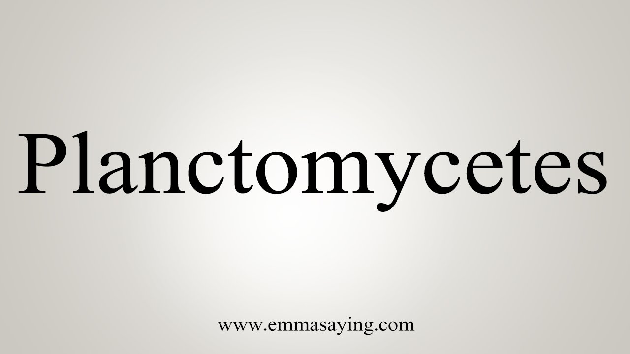 How To Say Planctomycetes