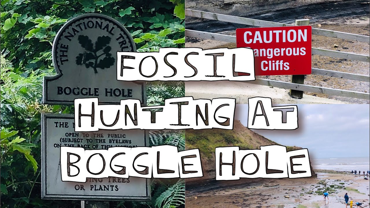 Fossil Hunting in Boggle Hole | North Yorkshire Moors | Things to do | Travel Vlog | Places to Visit