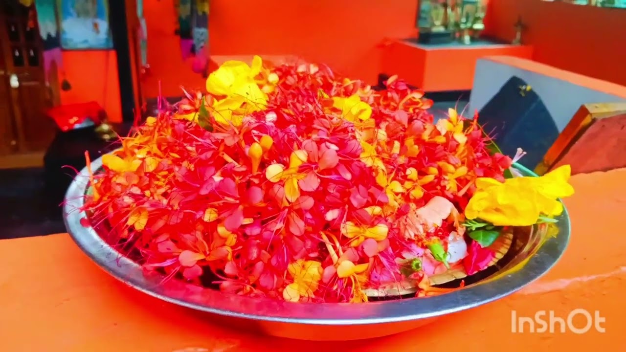 തിരക്കിൽ അല്പസമയം
