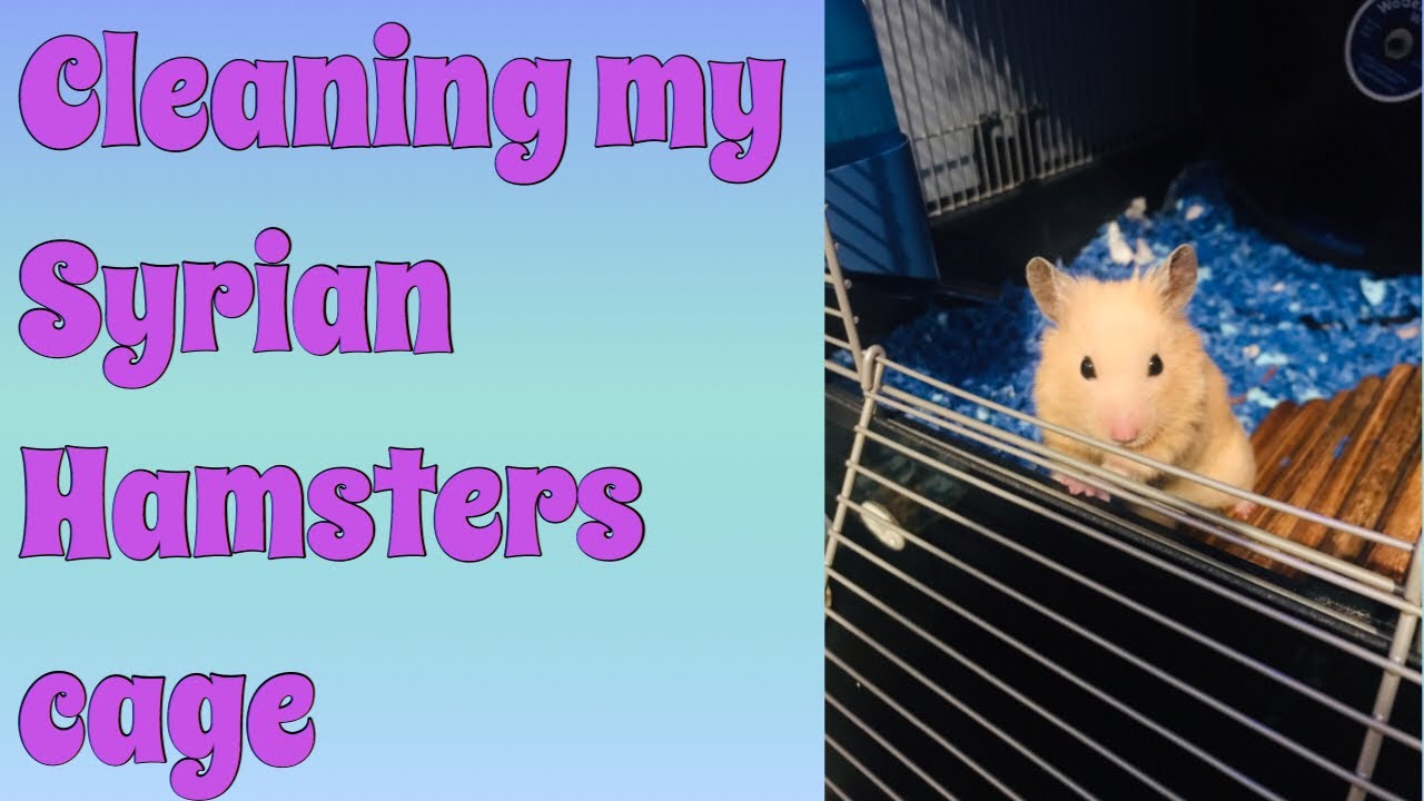 Cleaning Hamster Cage!!