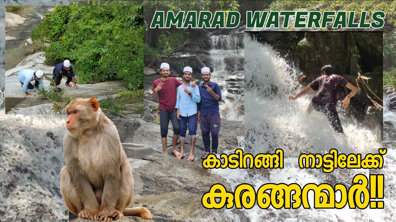 കട്ടിപ്പാറ അമരാട് മലയിലെ കാഴിച്ചകൾ !!😳🐒 | amarad waterfalls | musafir mallu's| kattippara