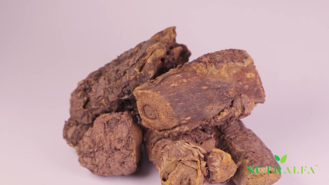 Costus Roots