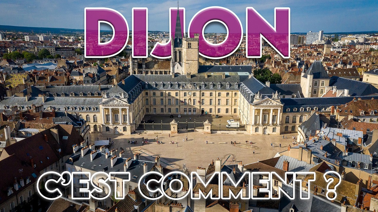 C'EST COMMENT DIJON ? 🦉​