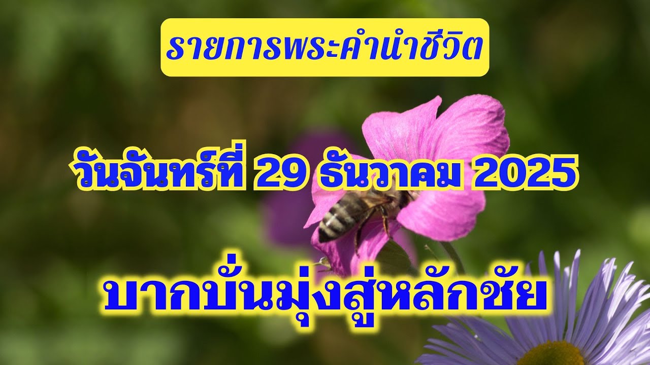 29 ธันวาคม 2025 บากบั่นมุ่งสู่หลักชัย
