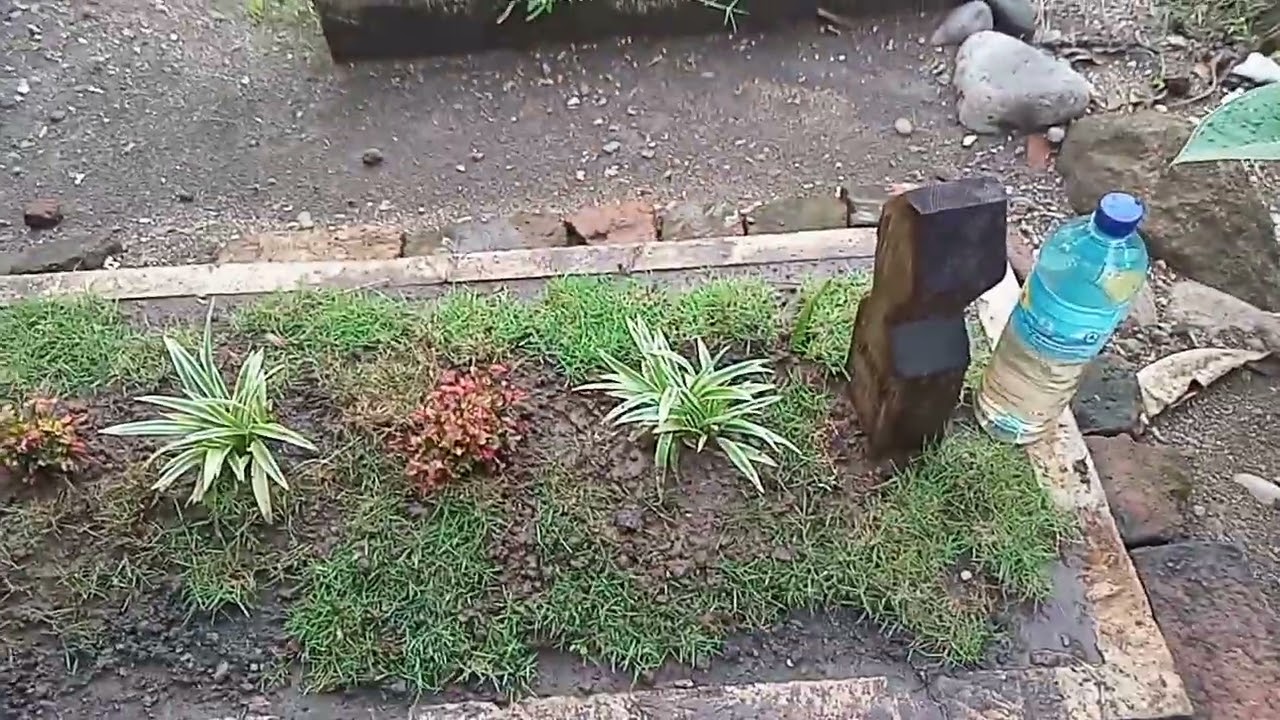 Kerumah emak karena rindu
