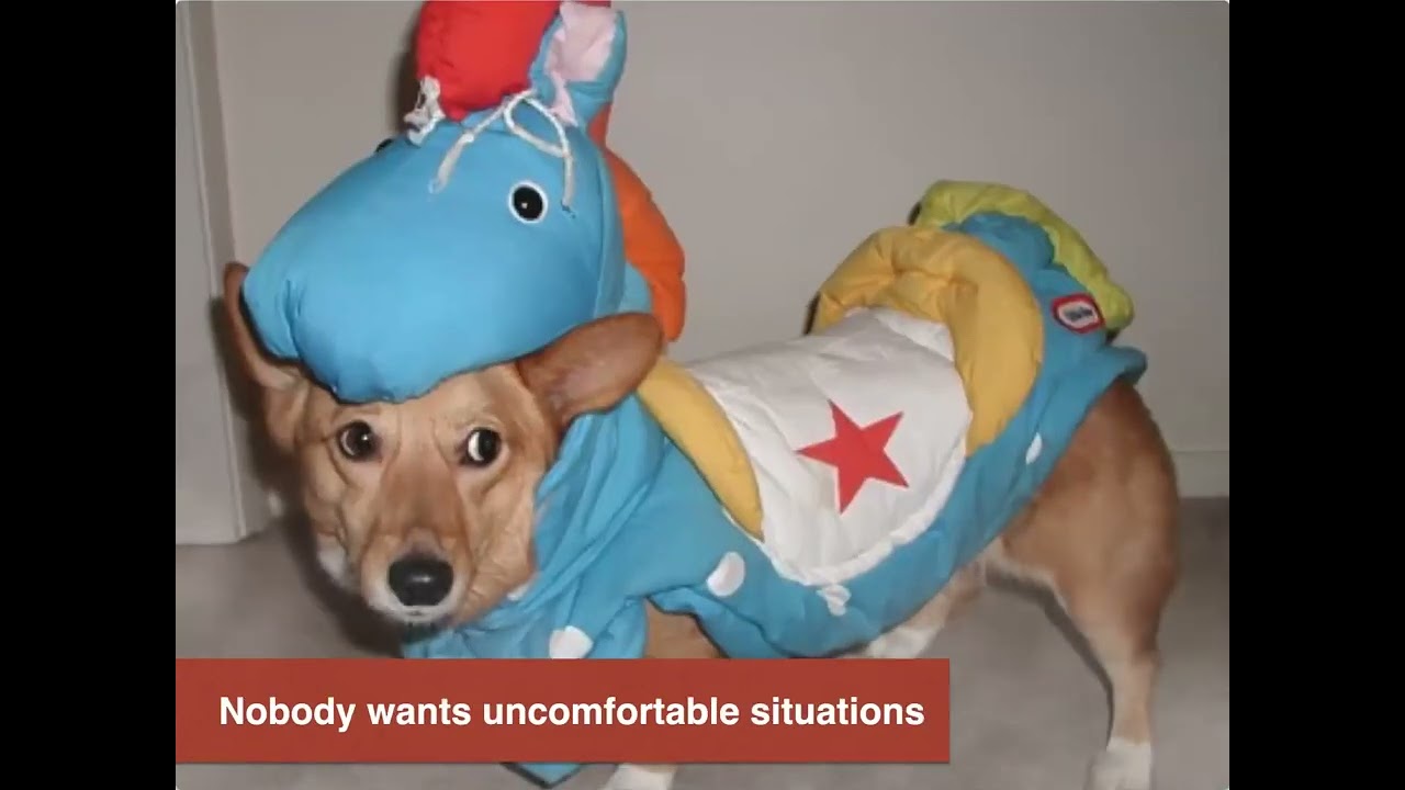 Designers & developers: Cats & dogs living in harmony