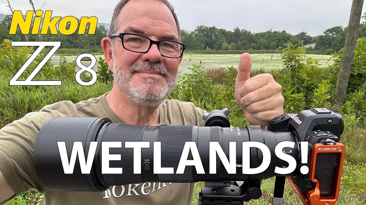 Nikon Z8 Wetlands Photography 180-600mm Lens!