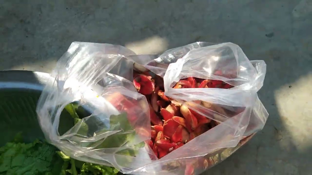 Tuesday bazar pen pipisi kevan maa nanglangduntha ho