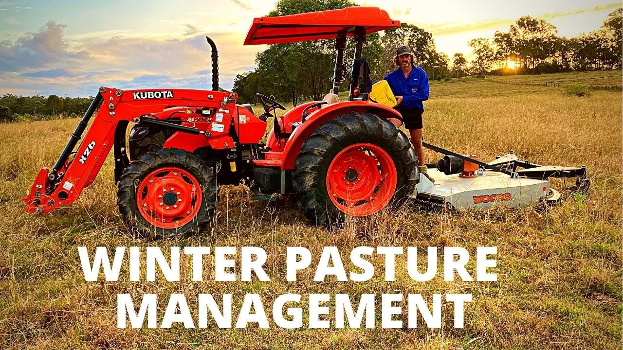 WINTER PASTURE MANAGEMENT & WHY WE DO IT!!