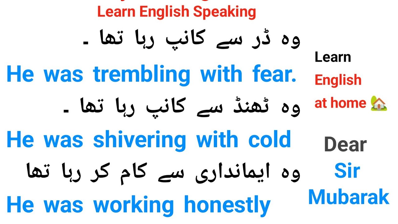 Everyday English Sentences You'll Actually Use