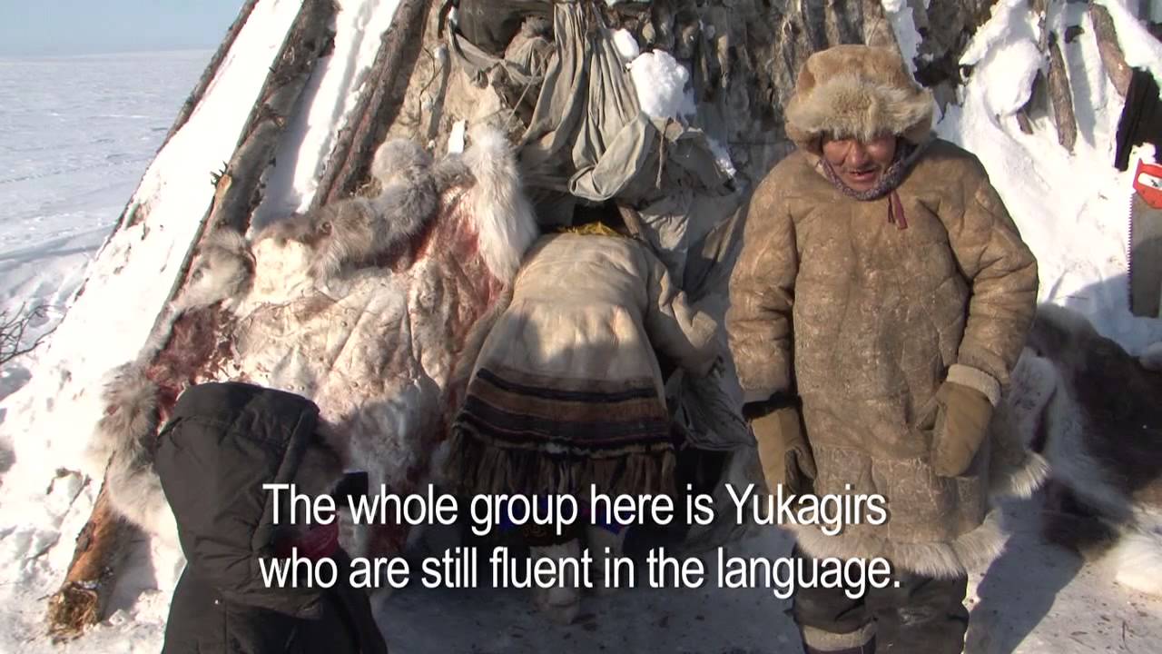Voices from the Tundra