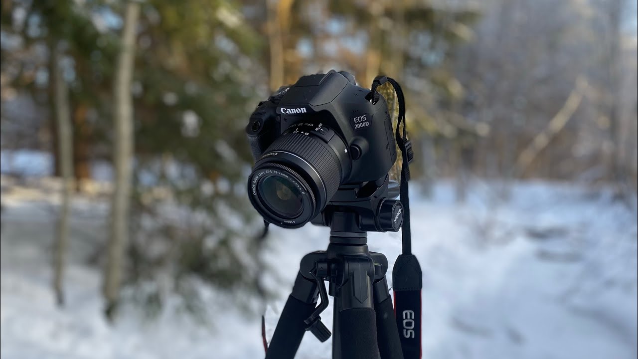 DAY AS A NATURE VIDEOGRAPHER!