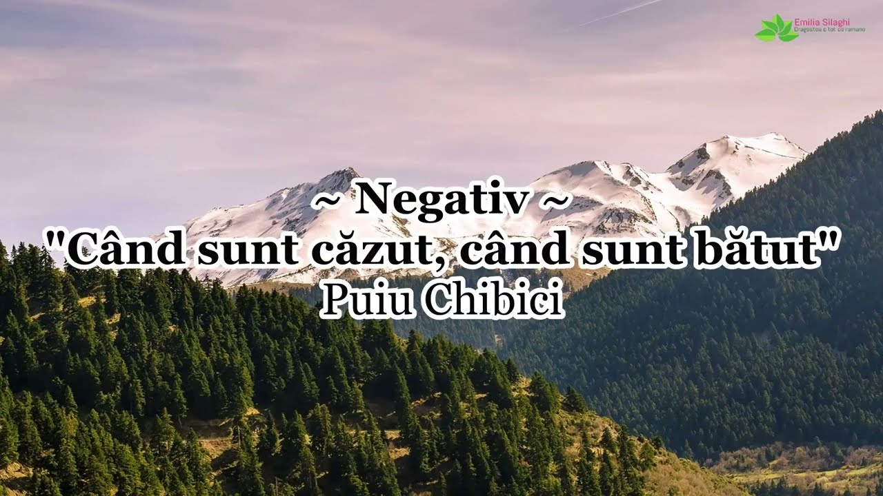 Negativ - Când sunt căzut, când sunt bătut - Puiu Chibici [NOU 2023]
