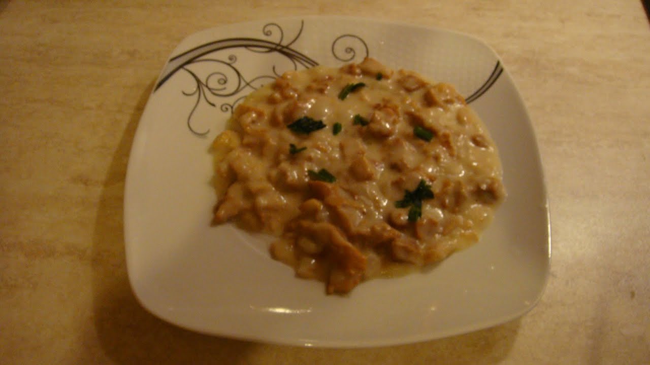 Tocanita de galbiori  gatita sanatos/ Mushrooms  food