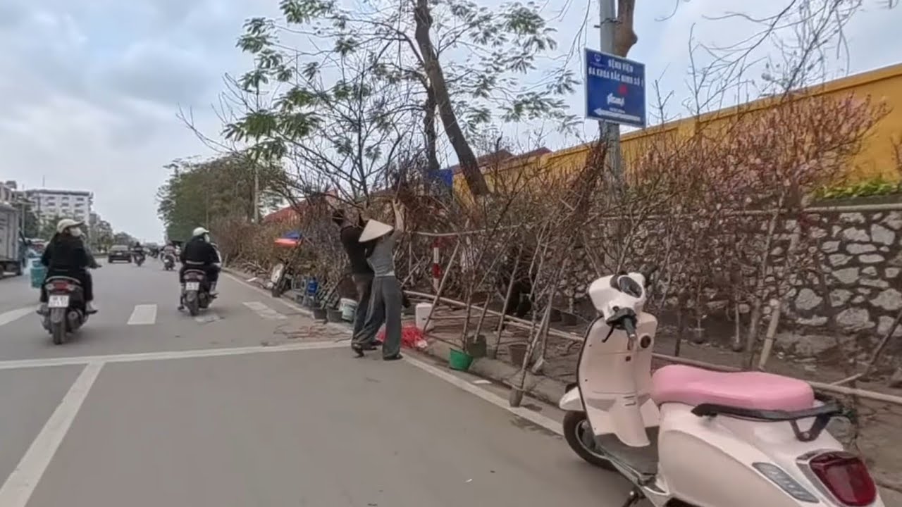 Những Điểm Bán Hoa Ngày Tết Nhộn Nhịp Nhất TP Bắc Giang Dịp Tết • Đào Quất Đầy Đường