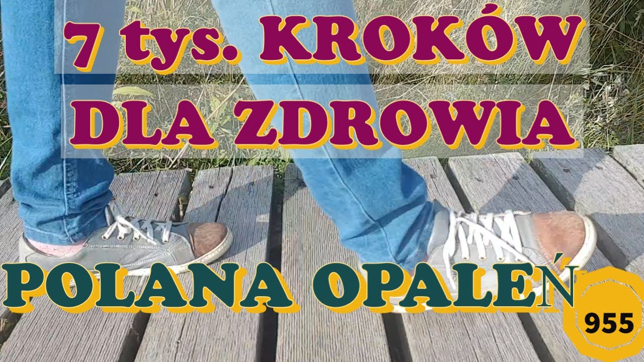 Spacer wokół  Polany Opaleń CZĘŚĆ 1 #36