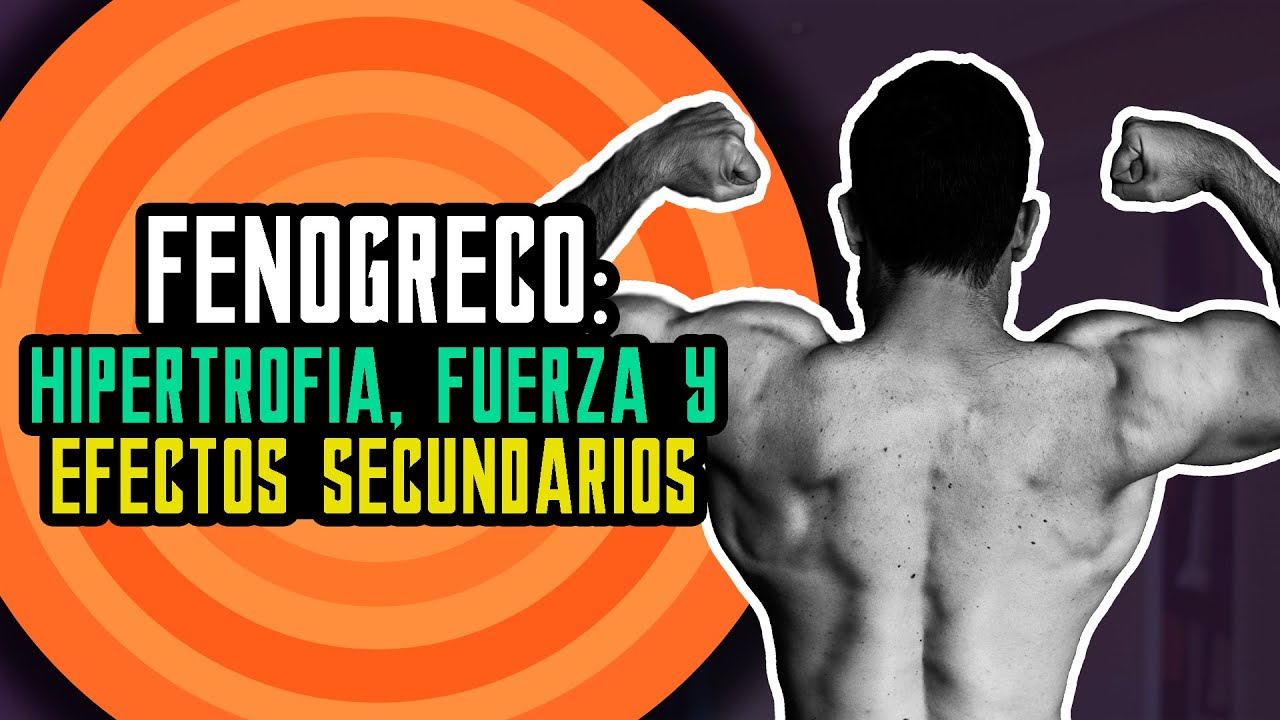 Fenogreco: Efectos Anabólicos Y Efectos Secundarios