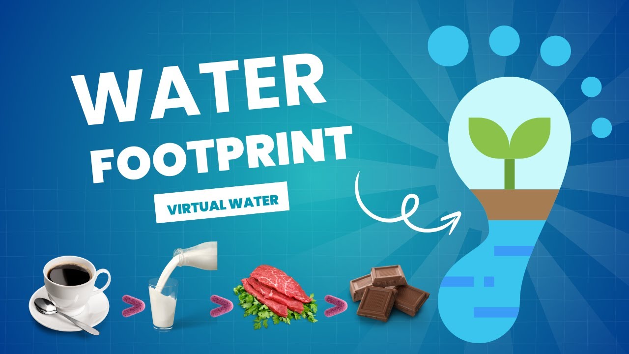 Water Footprints in Everyday Foods | Coffee, Milk, Meat & More!