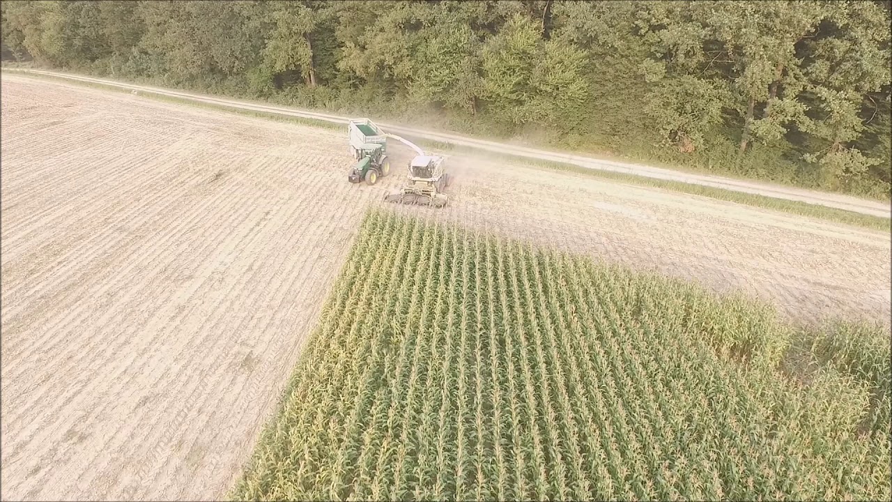 Silaža kukuruza 2017.