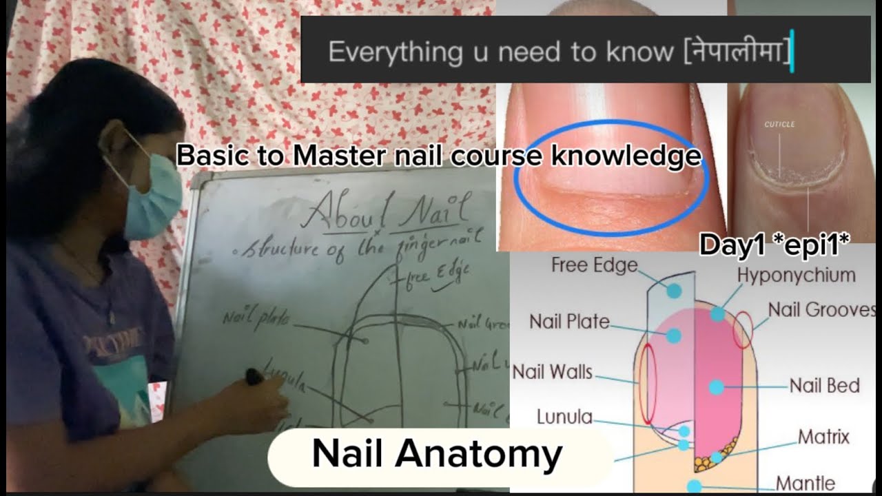 Nail course in Nepali // Basic to Master nail course// episode 1// complete online classes//