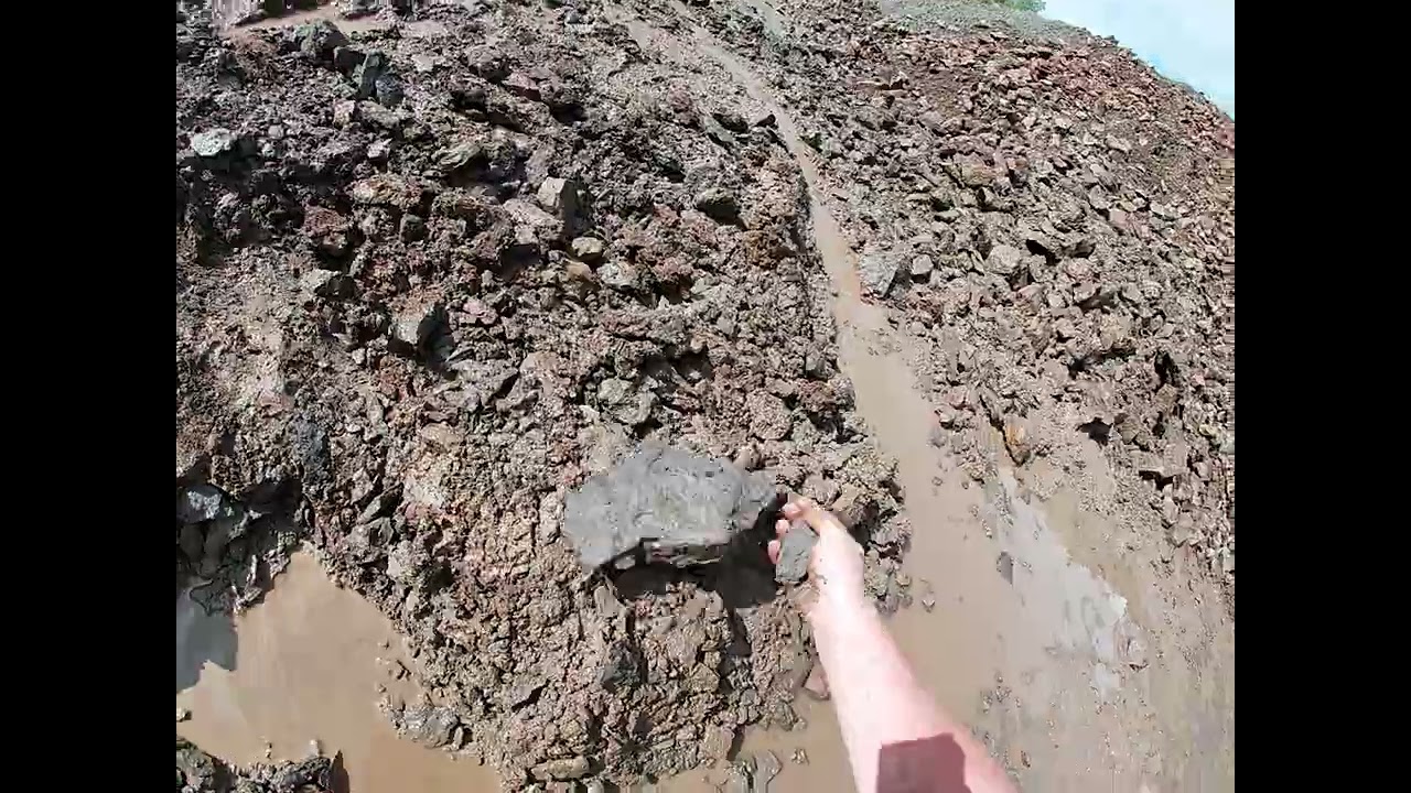 Day 5: Another Spectacular Megateuthis gigantea Find!!