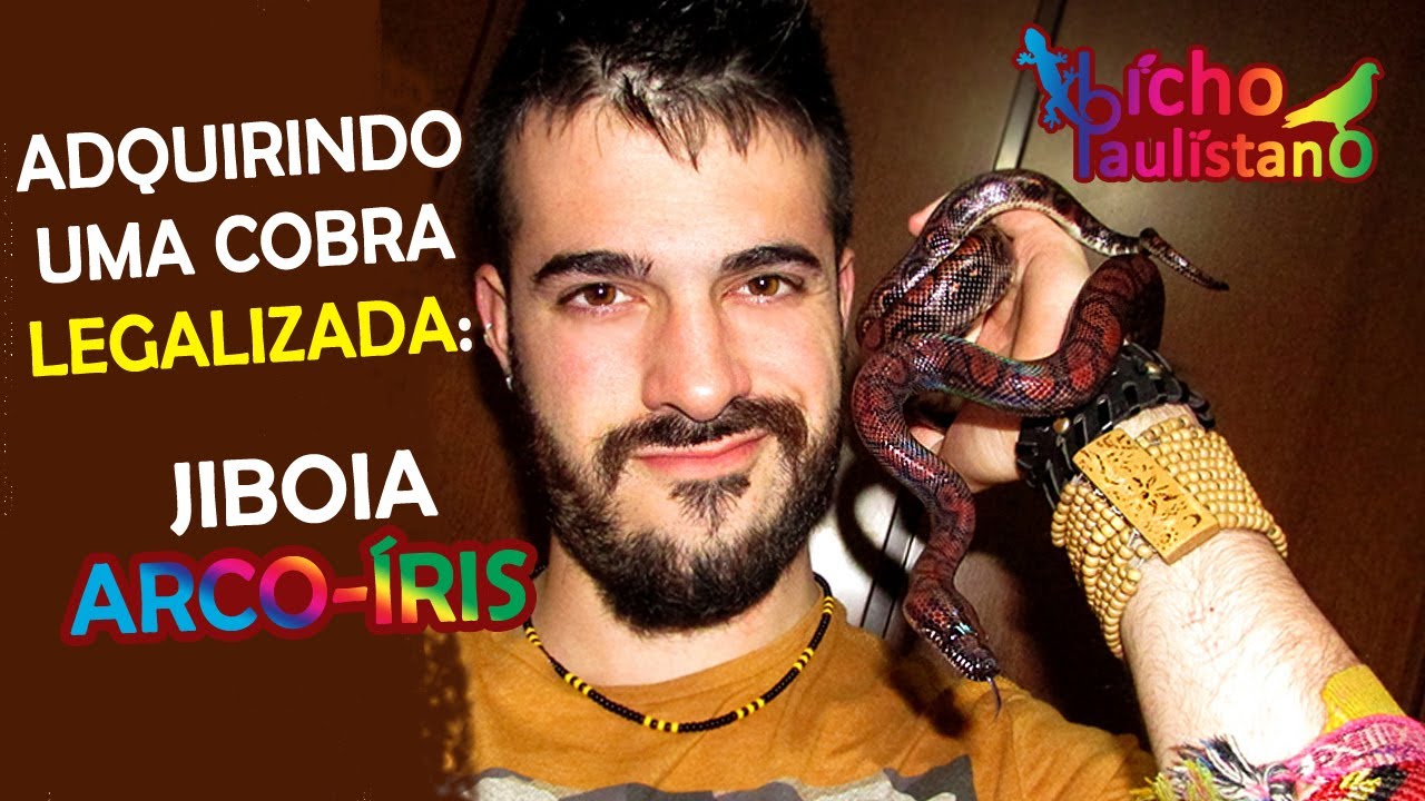 Unboxing animal: Jiboia arco-íris