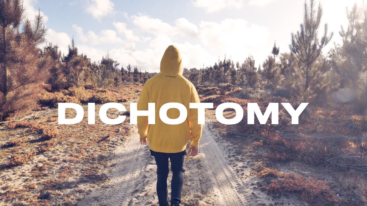 SLUMBERJACK - DICHOTOMY (Full Album Visualizer)