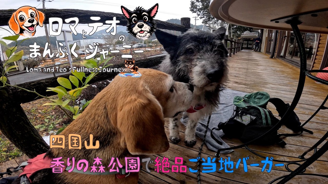 【四国山】香りの森公園😋絶品山県ご当地バーガー🍔犬連れ
