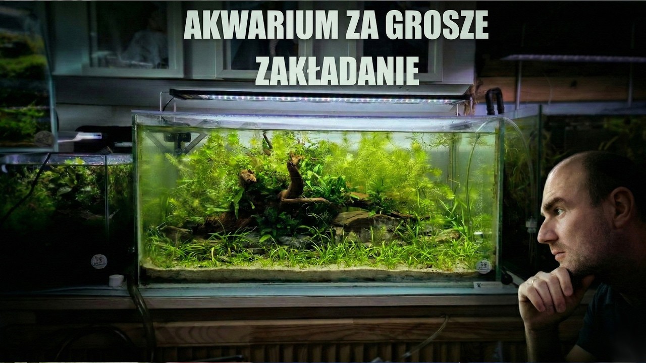 Zakładanie 100l akwarium