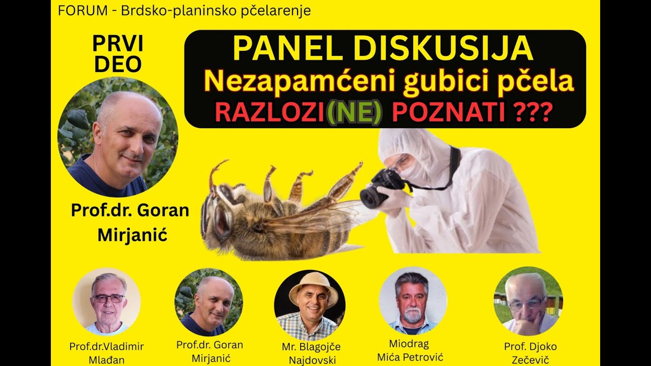 Prof dr Mirjanić Panel diskusija