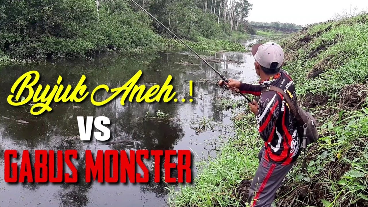 MENGEJUTKAN..!! CASTING GABUS MONSTER DAPAT BUJUK ANEH