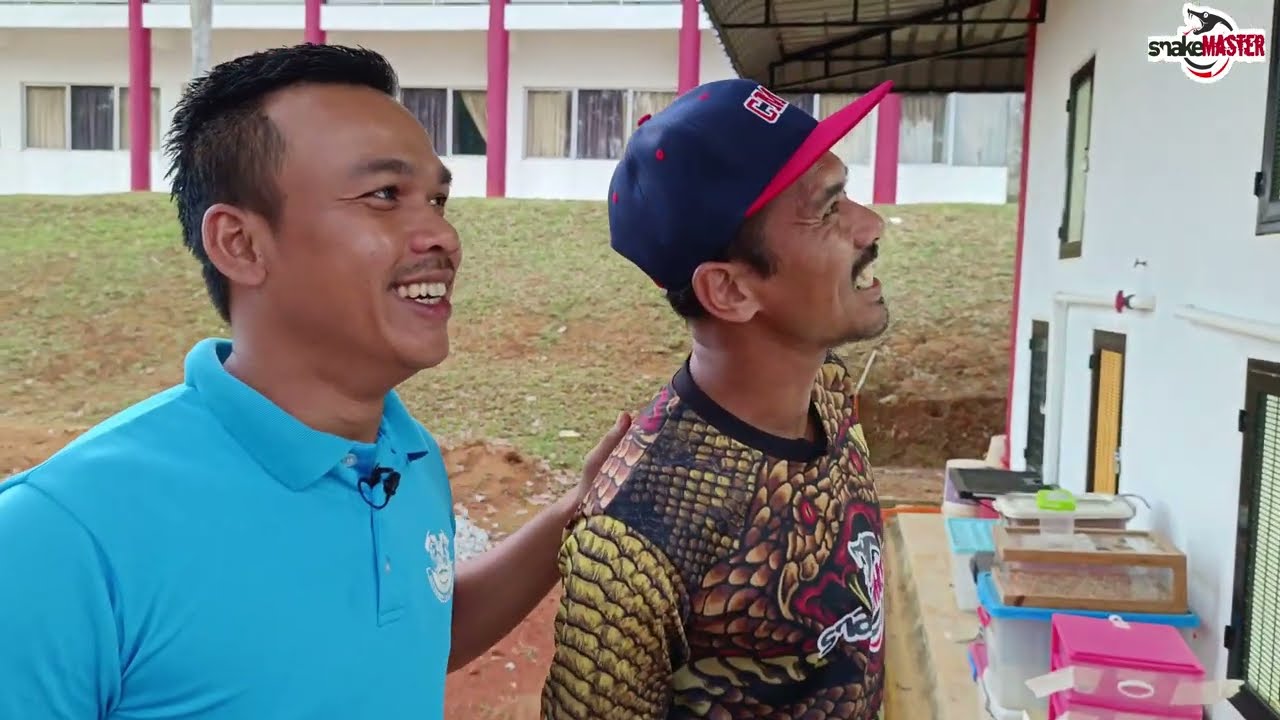MEMANG TERBAIK SANGKAR ULAR SQUAD KING COBRA | JUMPA SNAKE MASTER