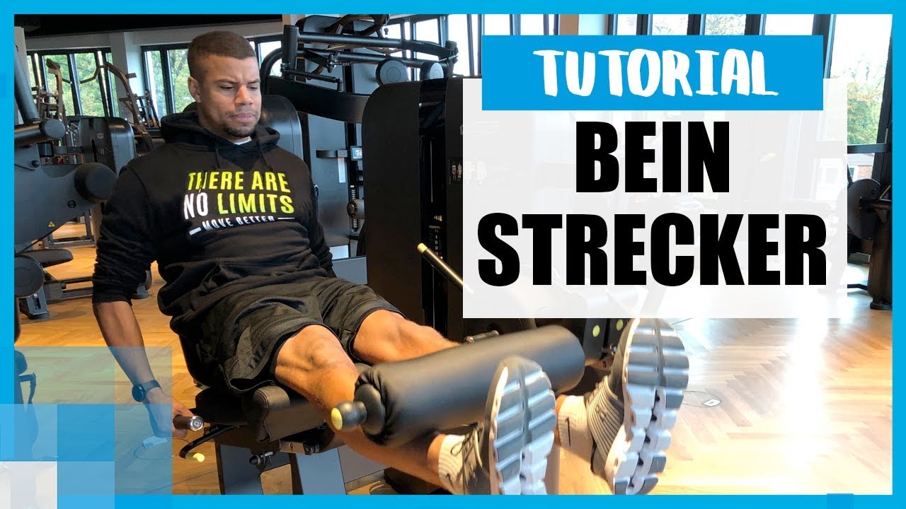Beinstrecker: Dos & Don'ts &ndash; Anleitung f&uuml;r effektives Beintraining 🏋️&zwj;♀️